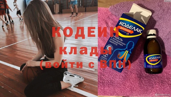 шишки Гусь-Хрустальный