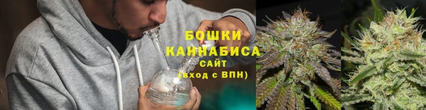 ешки Гусев