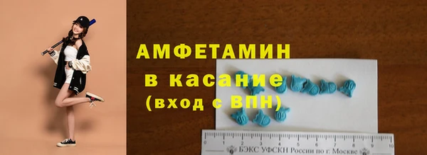 шишки Гусь-Хрустальный