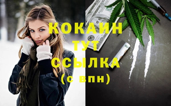 шишки Гусь-Хрустальный